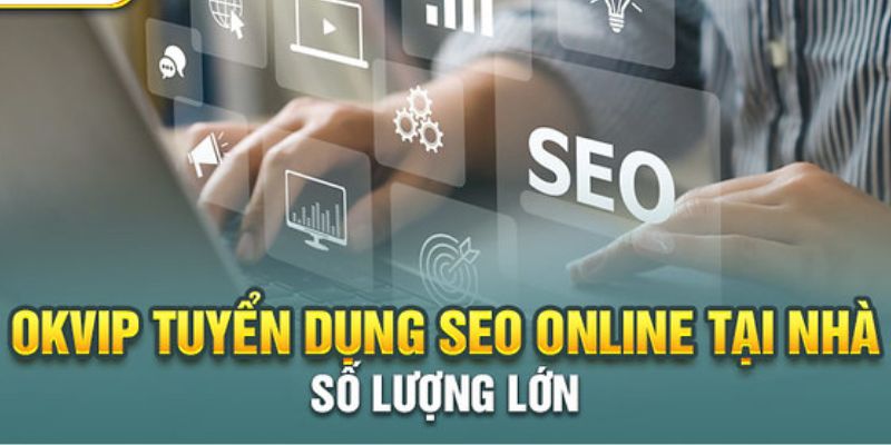 Cơ hội nghề nghiệp và quyền lợi tại OKVIP đối với tuyển dụng SEO